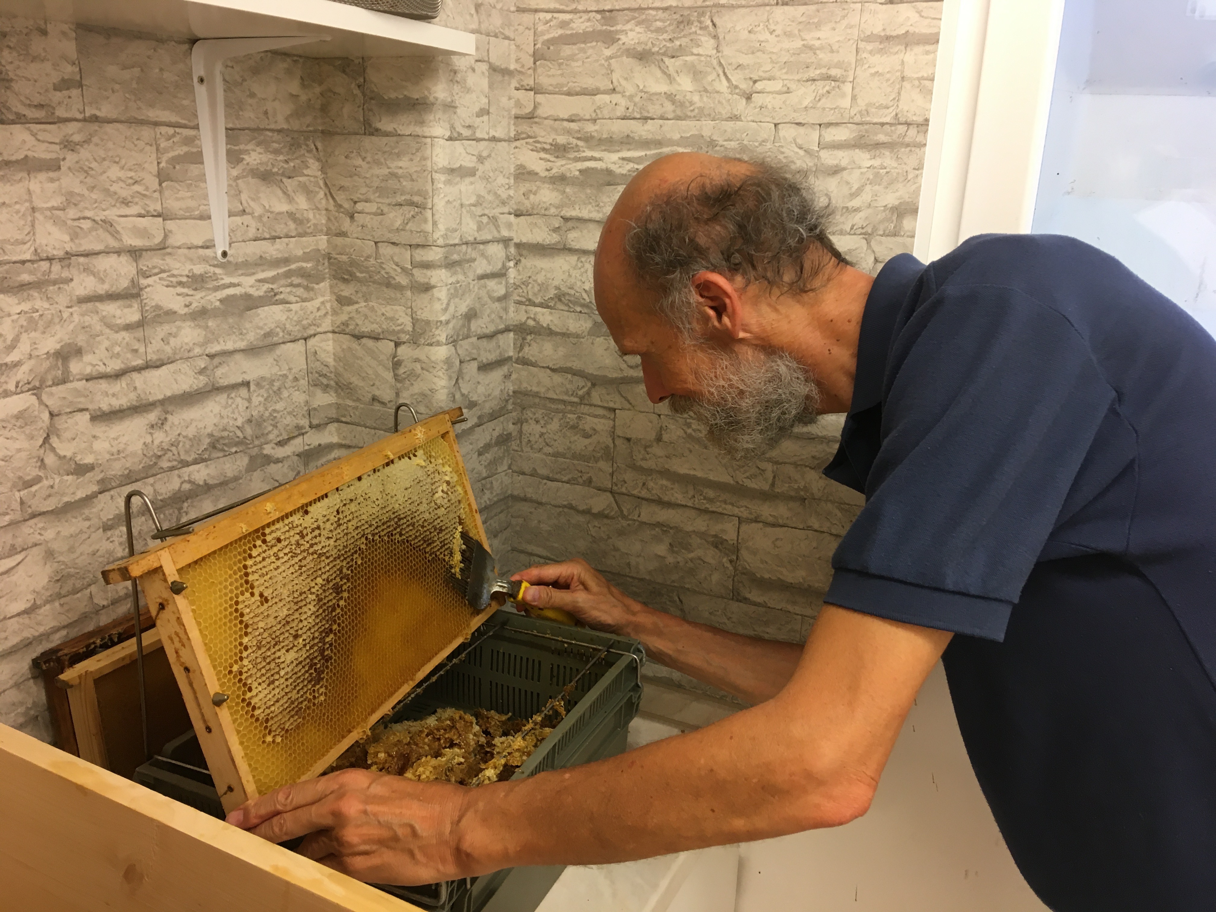 Entdeckeln einer Honigwabe