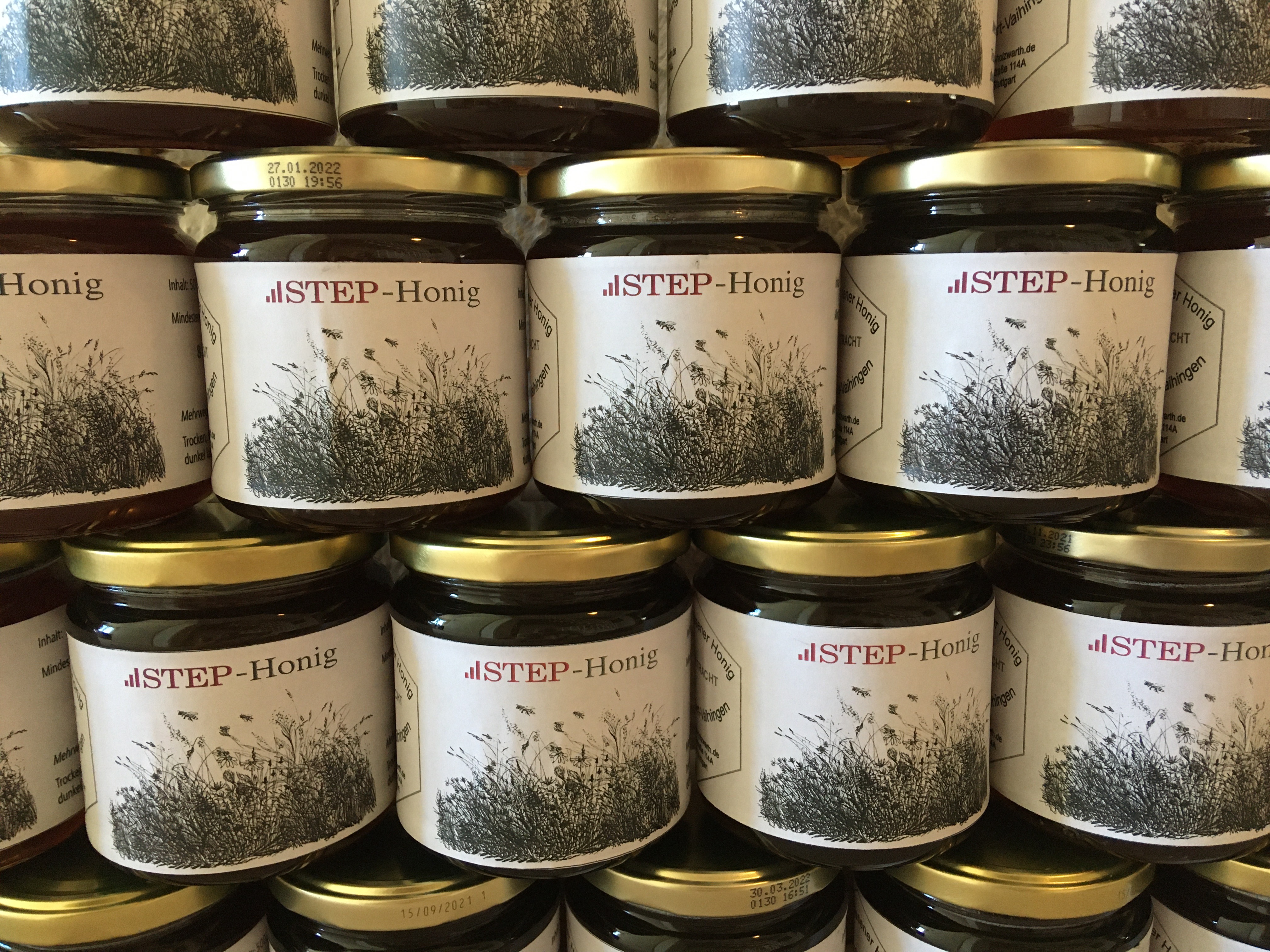 abgefüllte STEP-Honiggläser