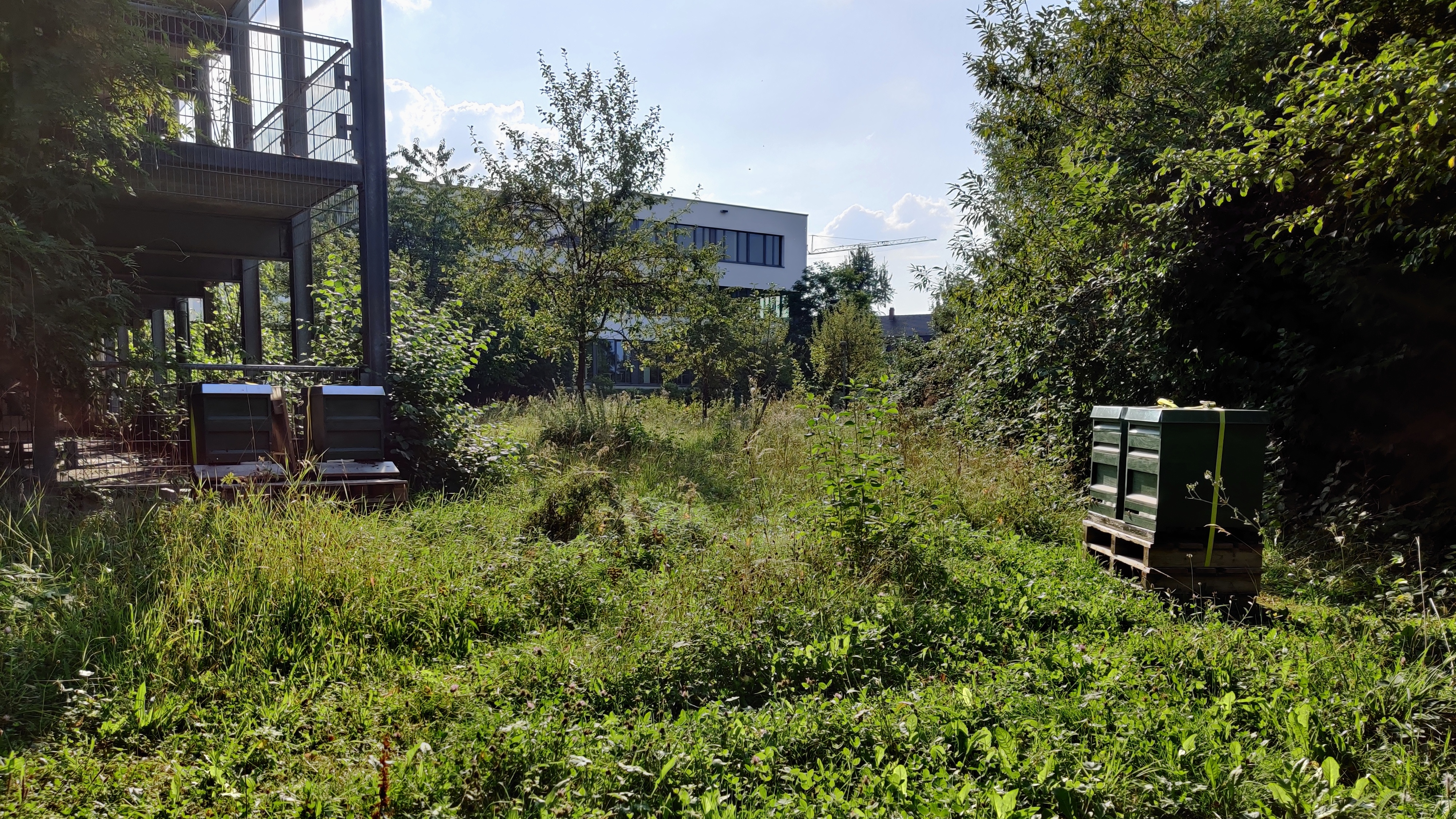 Bienenstand gen Westen