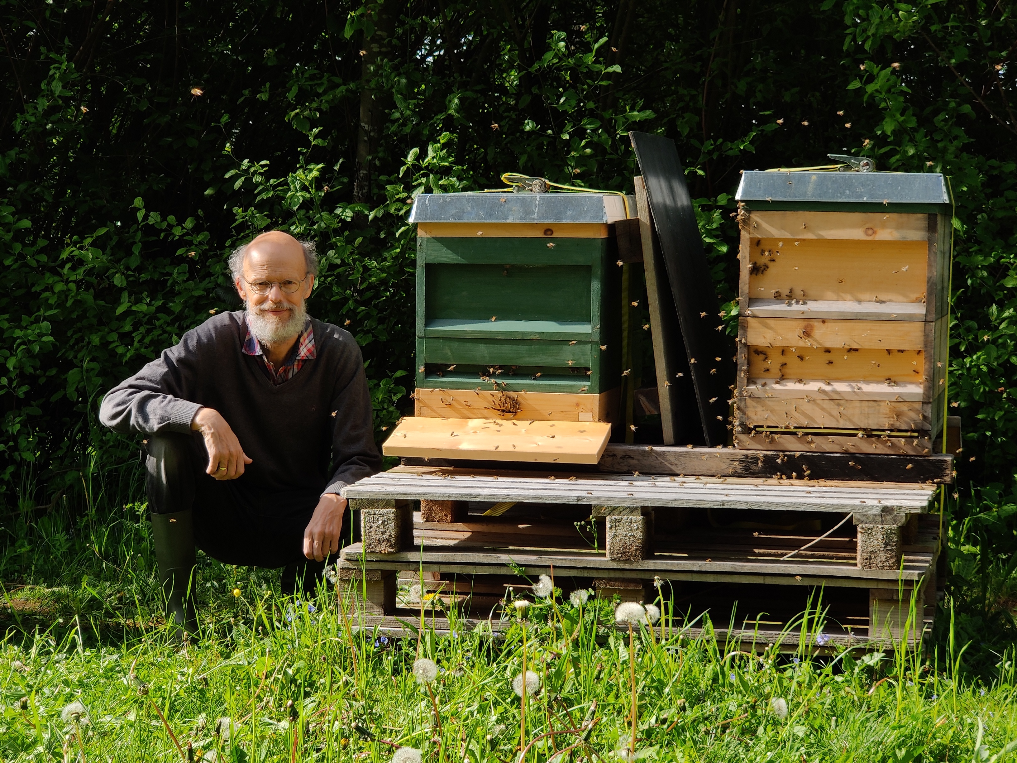 Imker neben Beuten