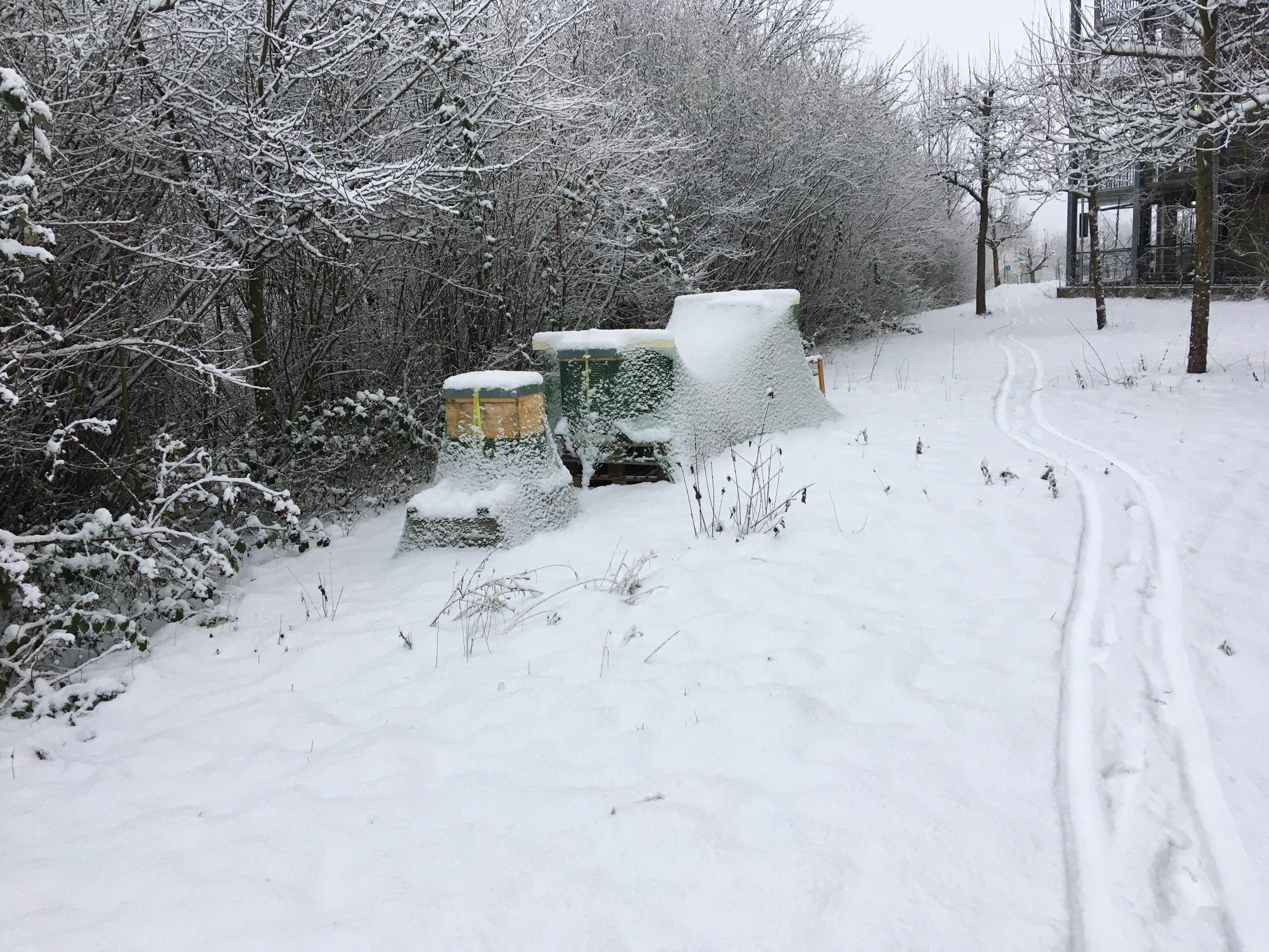 Bienenstand im Winter